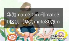 华为mate30跟mate30pro有什么区别 华为mate30pro和mate30区别