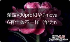 华为nova6pro与荣耀v30pro哪个好 荣耀v30pro和华为nova6有什么不一样