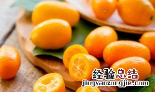 盆栽金桔为什么掉果 盆栽金桔挂果后如何养