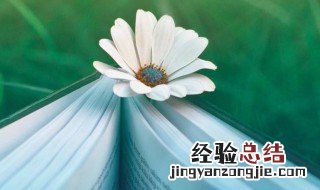 给女孩的文案短句 给女孩的文案短句有什么