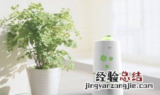 加湿器能直接对着脸吹吗 加湿器能对着脸吹好吗