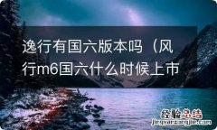 风行m6国六什么时候上市 逸行有国六版本吗