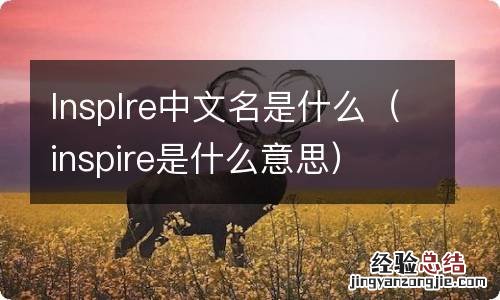 inspire是什么意思 lnsplre中文名是什么