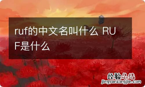 ruf的中文名叫什么 RUF是什么