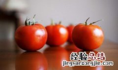 夏天番茄怎么保存不发芽 夏天番茄怎么保存