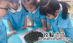 送老师茶叶的寄语 寄语需要写什么才好