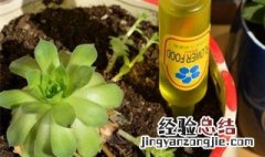 土培植物营养液每次用多少克 土培植物营养液每次用多少