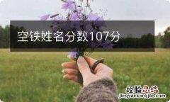 空铁姓名分数107分