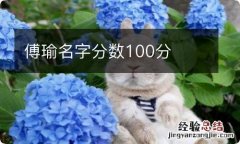 傅瑜名字分数100分