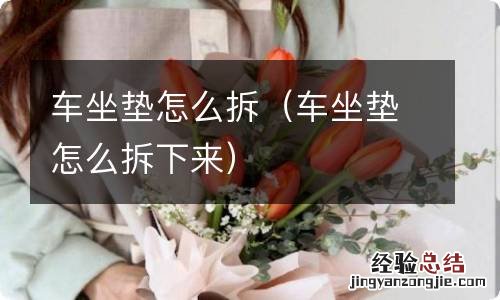 车坐垫怎么拆下来 车坐垫怎么拆