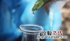 鲜丝瓜水怎么保存 鲜丝瓜水的保存方法