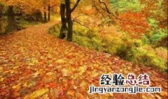 天台南黄古道在哪里 天台南屏乡南黄古道介绍