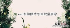 mac相簿照片怎么批量删除 macbook批量删除相册照片