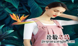 防辐射服可以洗吗 防辐射服可以洗吗?怎样洗