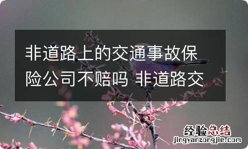 非道路上的交通事故保险公司不赔吗 非道路交通事故保险公司赔不赔