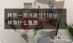 林宗一测评评分116分 林宗什么意思