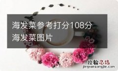 海发菜参考打分108分 海发菜图片