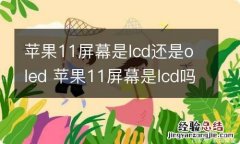 苹果11屏幕是lcd还是oled 苹果11屏幕是lcd吗