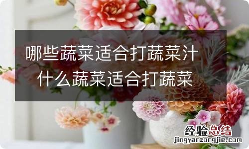 哪些蔬菜适合打蔬菜汁什么蔬菜适合打蔬菜汁