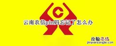 云南农信pin码忘记了怎么办 云南农信手机银行pin码是什么