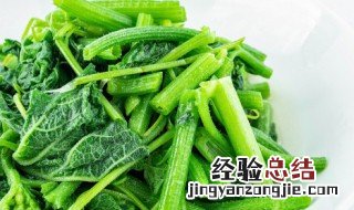 大棚适合种植哪些蔬菜 大棚适合种植哪些蔬菜种子