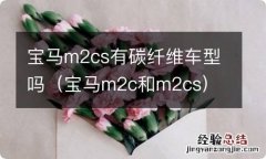 宝马m2c和m2cs 宝马m2cs有碳纤维车型吗