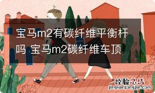 宝马m2有碳纤维平衡杆吗 宝马m2碳纤维车顶