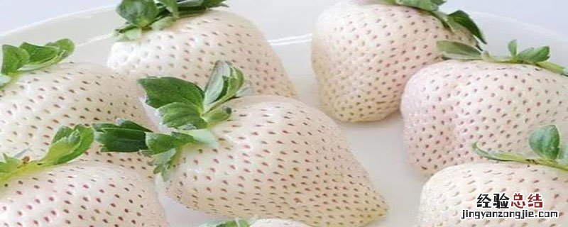 白草莓是变异产生的吗 白草莓是变异产生的吗视频