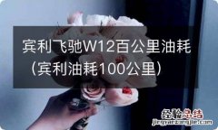 宾利油耗100公里 宾利飞驰W12百公里油耗