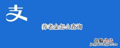 养老金怎么查询 养老金怎么查询明细