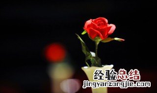 29朵玫瑰花是什么意思 29朵玫瑰花的意思