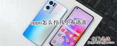 oppo怎么设置小布语音 oppo怎么打开小布语音