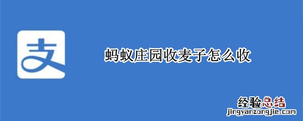 蚂蚁庄园怎样收麦子 蚂蚁庄园收麦子怎么收