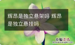 辉昂是独立悬架吗 辉昂是独立悬挂吗