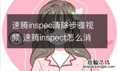 速腾inspec清除步骤视频 速腾inspect怎么消除