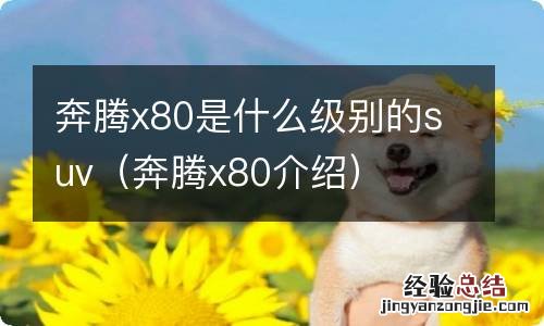 奔腾x80介绍 奔腾x80是什么级别的suv