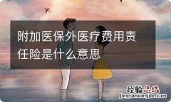 附加医保外医疗费用责任险是什么意思