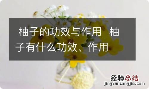 柚子的功效与作用柚子有什么功效、作用