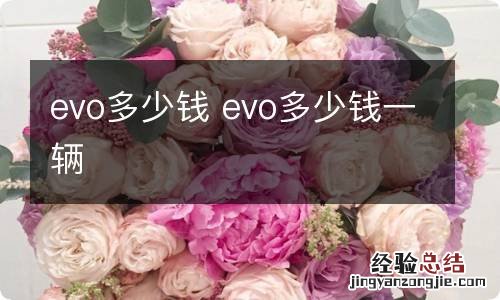 evo多少钱 evo多少钱一辆