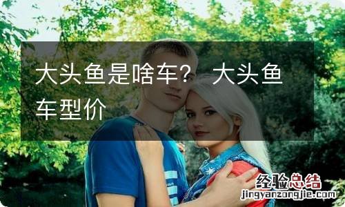 大头鱼是啥车? 大头鱼车型价