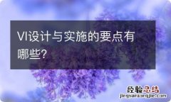 VI设计与实施的要点有哪些？