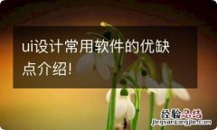 ui设计常用软件的优缺点介绍!