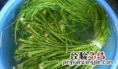 干海菜正确的泡发方法 干海菜正确的泡发方法视频