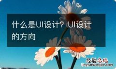 什么是UI设计？UI设计的方向