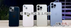 iPhone怎么打开5G开关 苹果5g开关怎么打开