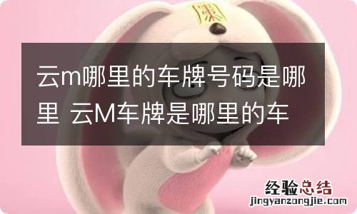 云m哪里的车牌号码是哪里 云M车牌是哪里的车牌