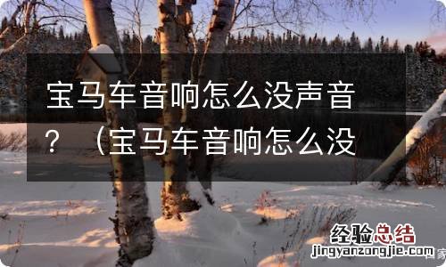 宝马车音响怎么没声音 宝马车音响怎么没声音？