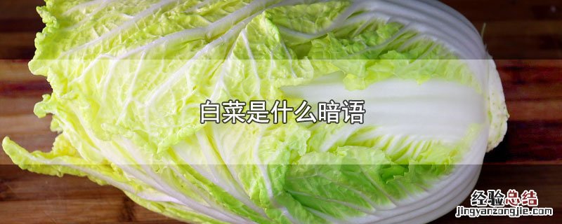 白菜是什么暗语 白菜是什么暗语类型