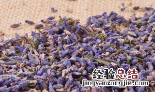 薰衣草搭配花茶大全 薰衣草花茶如何选购