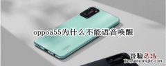 oppoa55为什么不能语音唤醒 oppoa55为什么不能语音唤醒小布